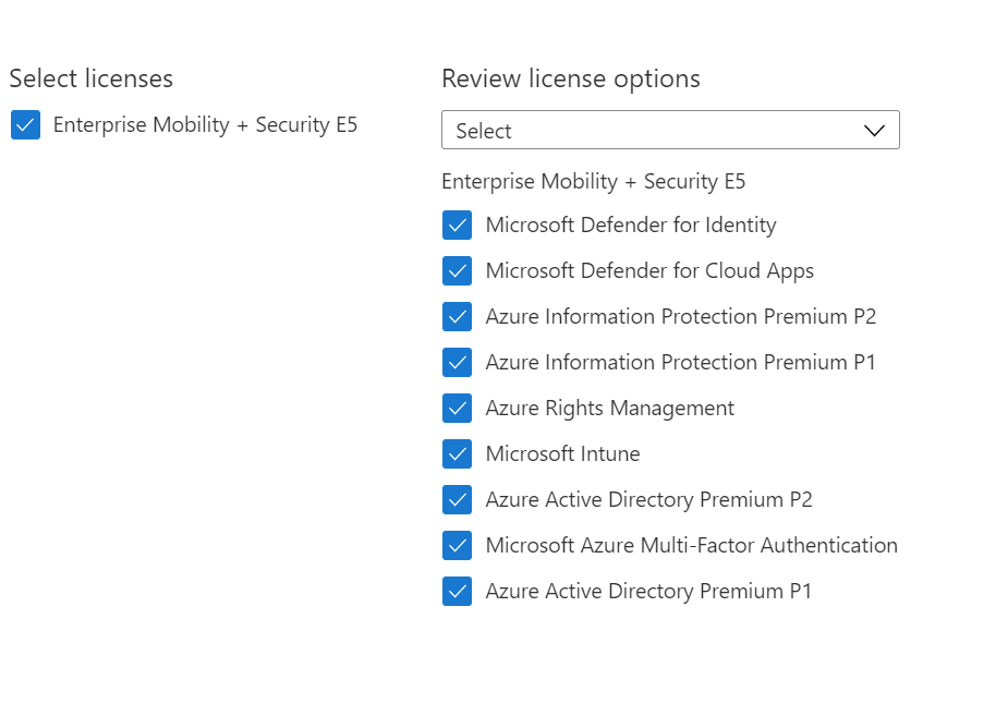 Microsoft Licenses